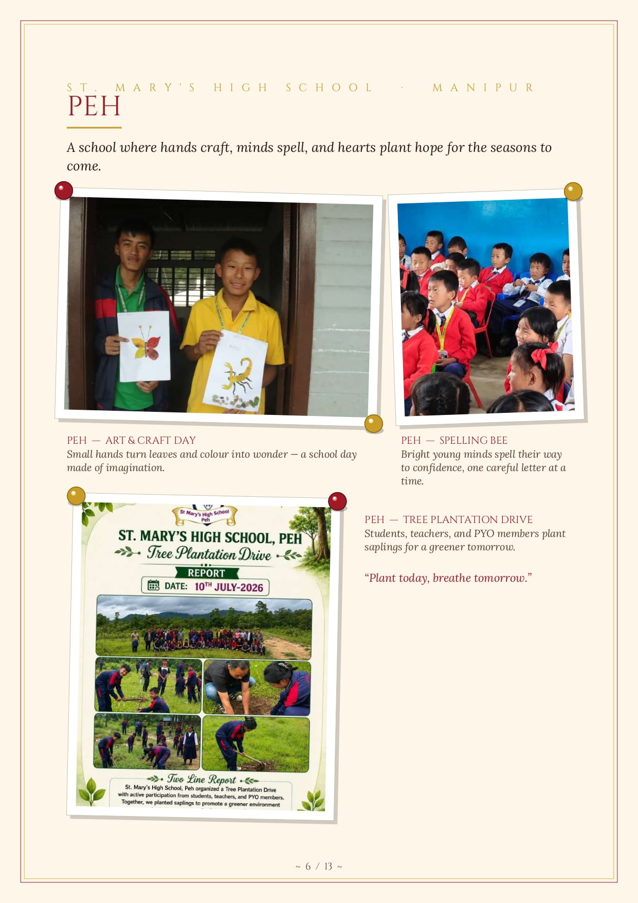 PIANO Newsletter 6